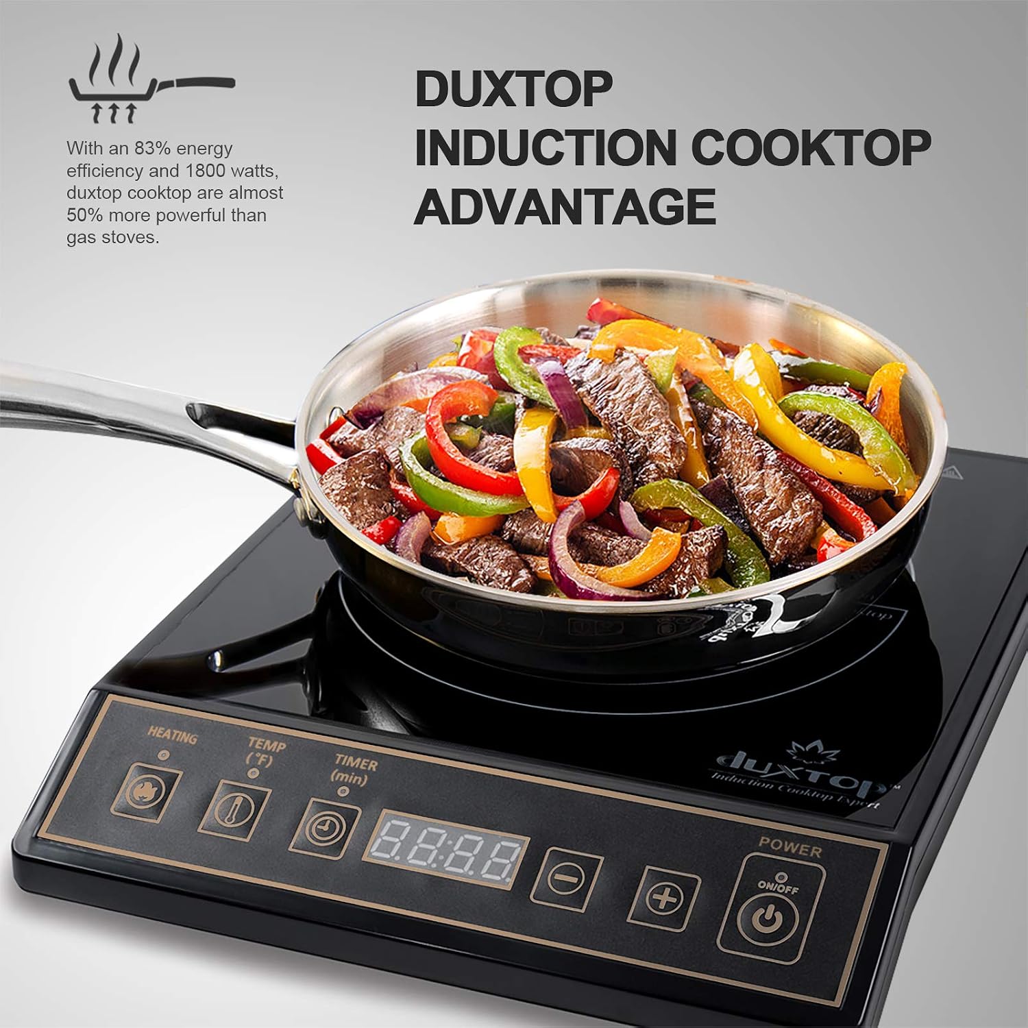 Quemador de encimera portátil  - Induction Cooktop Portable reseña y precio