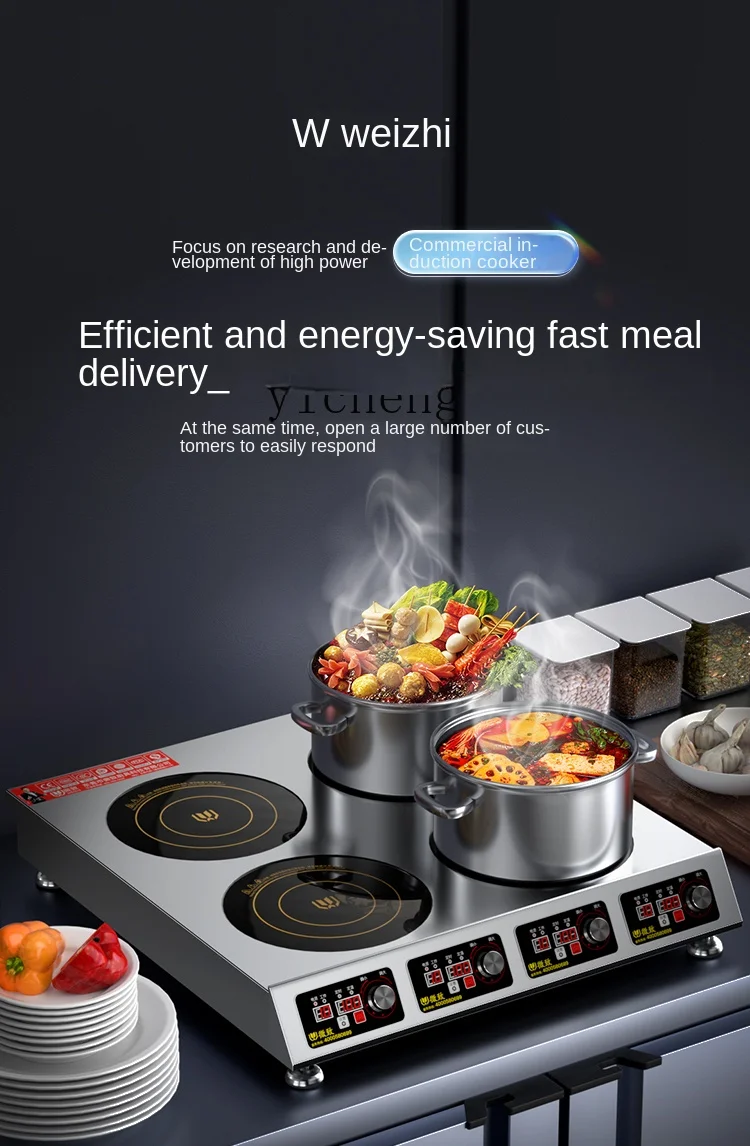 Cocina de inducción comercial  - Induction Cooker reseña y precio